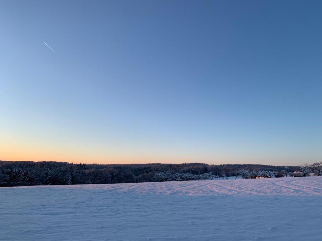Modernes Ferienhaus Im Schwarzwald Freiamt Extérieur photo
